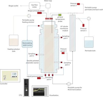 Enhancing Phenol Conversion Rates in Saline Anaerobic Membrane Bioreactor Using Acetate and Butyrate as Additional Carbon and Energy Sources